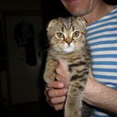  ,   , 56 ,   ,   , c 