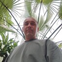  --,   , 40 ,   ,   