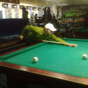 ���������� �����������, ���� ������� ���, 36 ���, ������������ ��� ������, ����� � ���������, c�������� ���������, ���������