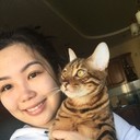  ,   , 26 ,  
