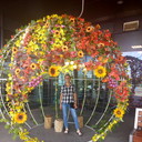 ���������� �����, ���� ������� �����, 45 ���, ������������ ��� ����� � ���������, c�������� ���������