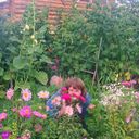 ���������� ���������, ���� ������� �����, 52 ����, ������������ ��� ������, ����� � ���������, c�������� ���������