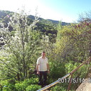  ,   , 38 ,   ,   , c 