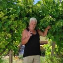 ���������� �����������, ���� ������� ��������, 74 ����, ������������ ��� ������, ����� � ���������