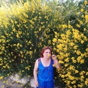 ���������� ���������, ���� ������� �����, 57 ���, ������������ ��� ������, ����� � ���������, c�������� ���������