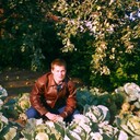  ,   , 42 ,   c 