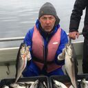  Nufringen,   , 44 ,     , c 