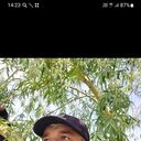 ���������� ������, ���� ������� �����, 44 ����, ������������ ��� ������, ����� � ���������