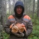 ���������� ���������, ���� ������� ����, 40 ���, ������������ ��� ������, ����� � ���������, c�������� ���������