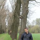   ,   , 43 ,   