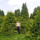  ,   , 37 ,   ,   