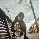 ���������� ������, ���� ����� �����, 24 ����, ������������ ��� ������, ����� � ���������, c�������� ���������, ���������