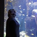   ,   , 63 ,   ,   , c 