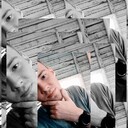 ���������� ���������, ���� ������� ������, 29 ���, ������������ ��� ������, ����� � ���������, c�������� ���������