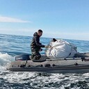 ���������� �����������, ���� ����� ����, 23 ����, ������������ ��� ������, ����� � ���������