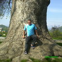 ���������� ����, ���� ������� �����, 46 ���, ������������ ��� ������