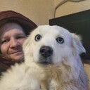  ,   , 37 ,     , c , 