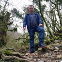 ���������� �������, ���� ������� ���������, 36 ���, ������������ ��� ����� � ���������, c�������� ���������, ���������