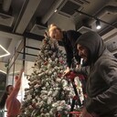 ���������� ���������, ���� ������� �����, 31 ���, ������������ ��� ������, ����� � ���������, c�������� ���������