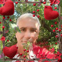  ,   , 66 ,   c 