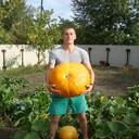 ���������� ��������, ���� ������� �������, 34 ����, ������������ ��� ����� � ���������, c�������� ���������, ���������