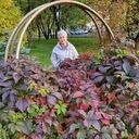 ���������� �����, ���� ������� ���, 52 ����, ������������ ��� ����� � ���������, c�������� ���������