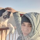 ���������� �����, ���� ������� ����, 36 ���, ������������ 