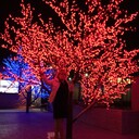 ���������� ������, ���� ������� ������, 53 ����, ������������ ��� ������, ����� � ���������, c�������� ���������