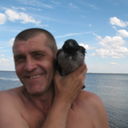 ���������� �������, ���� ������� ������, 61 ���, ������������ ��� ������