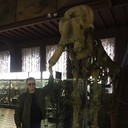  ,   , 43 ,   ,   , c 