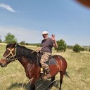  ,   , 54 ,   ,   