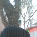 ���������� ���������, ���� ������� ��������, 37 ���, ������������ ��� ������, ����� � ���������, c�������� ���������