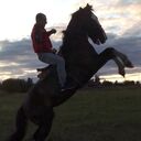  ,   Alexander, 38 ,   ,   