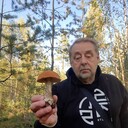 ���������� �����-���������, ���� ������� ���������, 72 ����, ������������ ��� c�������� ���������