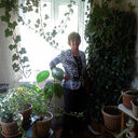 ���������� ������, ���� ������� �����, 63 ����, ������������ ��� ������, ����� � ���������, c�������� ���������