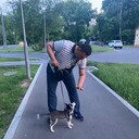 ���������� ������, ���� ������� ������, 45 ���, ������������ ��� ������, ����� � ���������