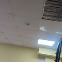 ���������� �������, ���� ������� �����, 29 ���, ������������ ��� ������, ����� � ���������, c�������� ���������