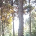 ���������� �������, ���� ������� �����, 26 ���, ������������ ��� ������, ����� � ���������, c�������� ���������