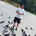 -,   Murat, 31 ,   ,   , c , 