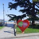 ���������� �����������, ���� ������� ����������, 44 ����, ������������ ��� ������, ����� � ���������, c�������� ���������