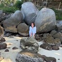 ���������� ����������-��-�����, ���� ������� ����, 50 ���, ������������ ��� ������, ����� � ���������, c�������� ���������