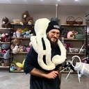 ���������� �����������, ���� ������� ������, 28 ���, ������������ ��� ������, ����� � ���������