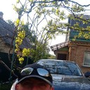  ,   , 35 ,     , c 