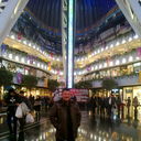 ���������� ������, ���� ������� ����, 49 ���, ������������ ��� ������