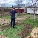 ���������� ������, ���� ������� ����, 39 ���, ������������ ��� ������, ����� � ���������, c�������� ���������, ���������