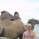 ���������� �����, ���� ������� �� � ��, 43 ����, ������������ ��� ����� � ���������, c�������� ���������