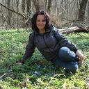  ,   , 55 ,  