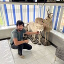  ,   Aslan, 27 ,   ,   