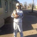  ,   , 54 ,  