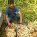 ���������� ������, ���� ������� ������, 60 ���, ������������ ��� ������, ����� � ���������, c�������� ���������